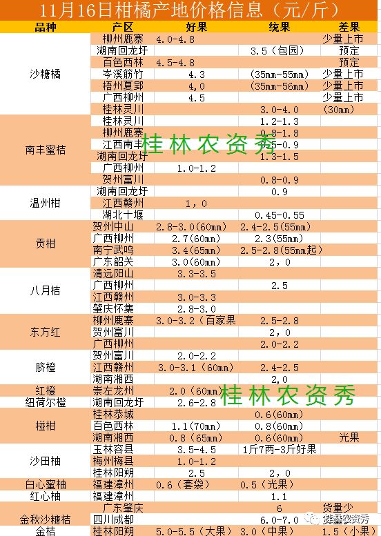 半岛体育【柑价】柑橘价格走势最高48元斤！沙糖橘少量上市价格喜人(图2)