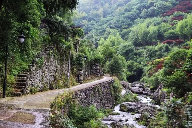 【红枫正当时】徒步栖霞坑古道,赏四明山红枫--重走唐诗之路