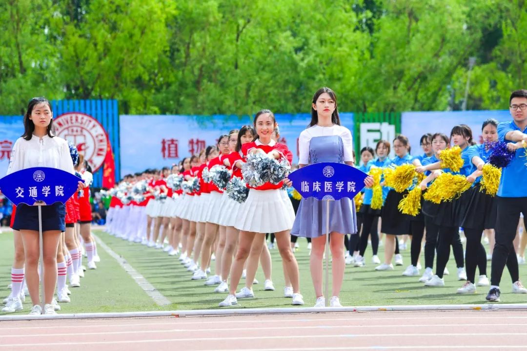 十佳风采越不凡越平凡临床医学院2018年十佳大学生刘乃萌