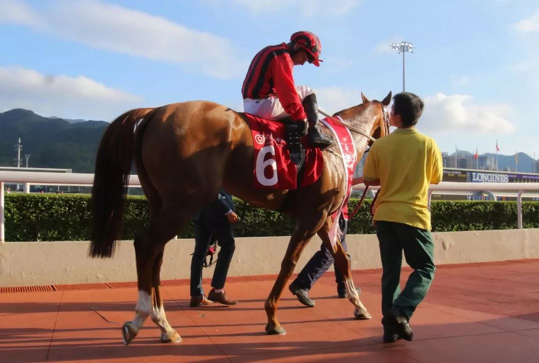 鹰雄破马场纪录摘下中银香港马会杯