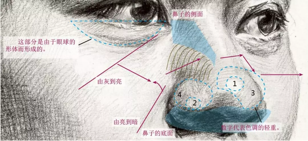 位于颧骨之后的位置,当下颌骨活动的时候带动面部整体的肌肉组织下陷