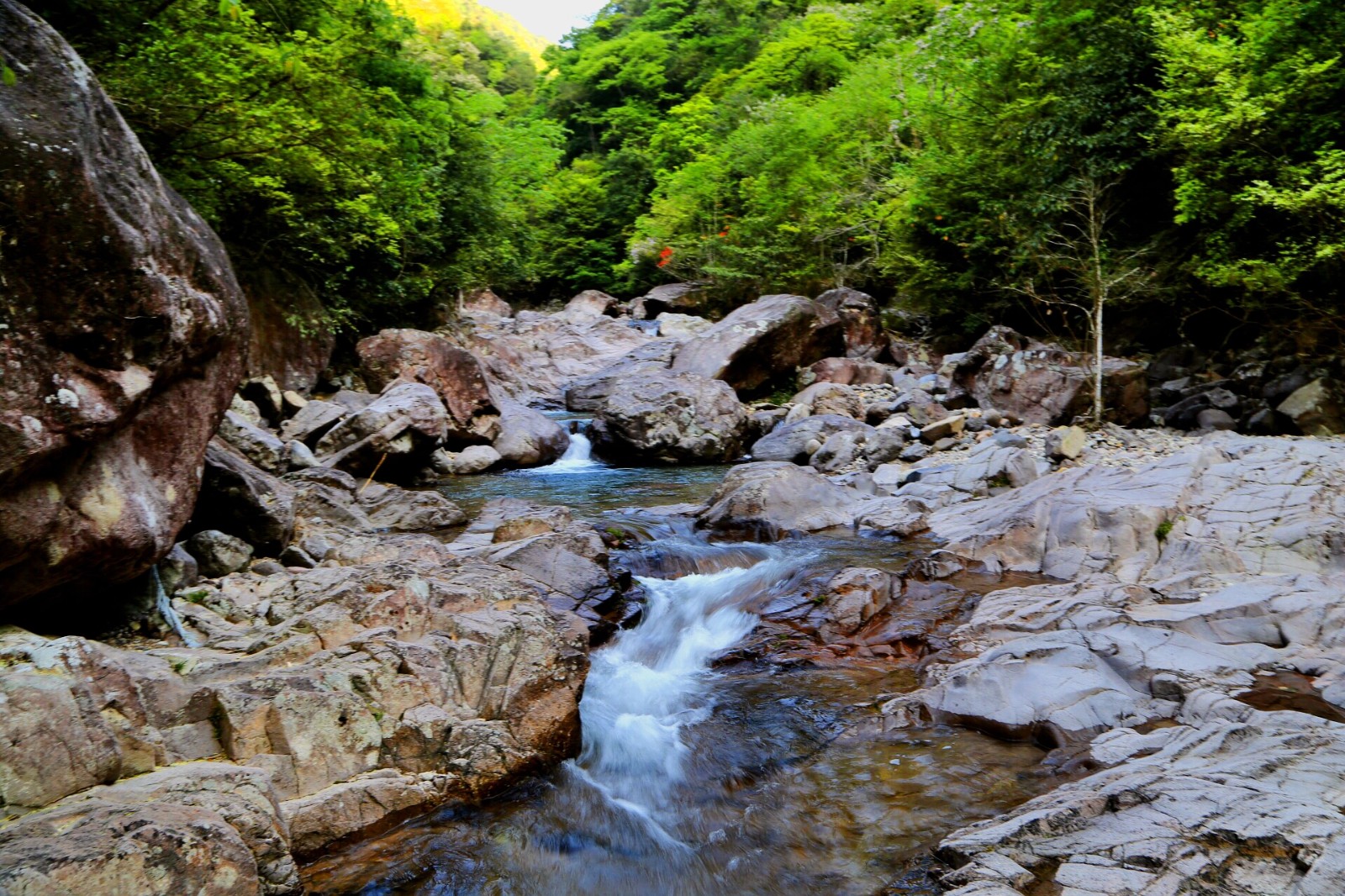 探寻华东原始秘境-九龙山自然保护区,传说中"野人出没