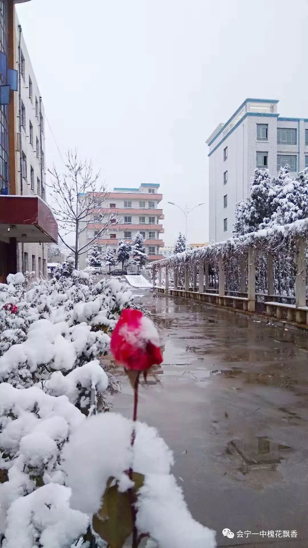 会宁一中雪景太壮观