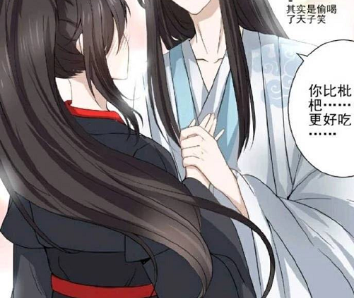 魔道祖师魏无羡蓝忘机重回彩衣镇蓝忘机被魏无羡壁咚