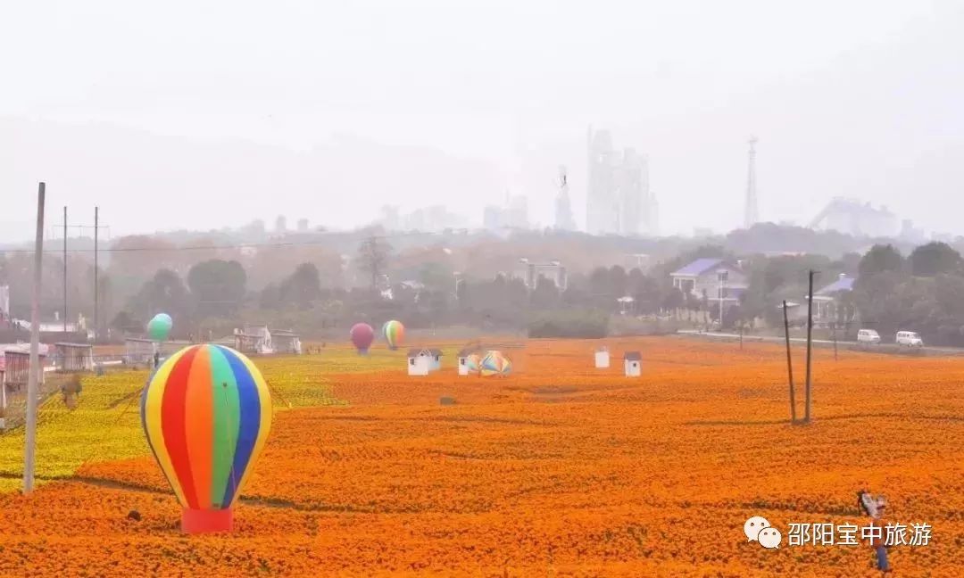 又是一年赏花季,石仑关梦想小镇浪漫花海一日游_邵阳