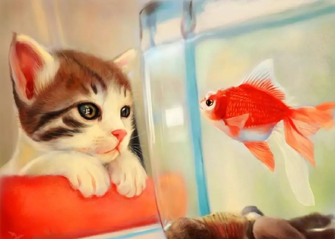 猫咪与鱼|乌云高清壁纸站