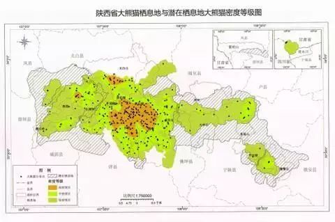 陕西新代言秦岭大熊猫国家公园即将诞生面积相当于8个西安市建成区