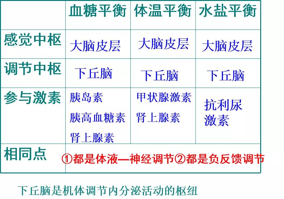 【生物】神经调节与体液调节对比学习,加深记忆!