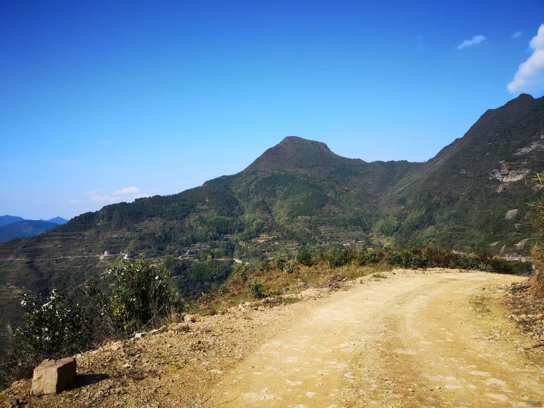 牛角山,风景图片,茶叶_大山谷图库