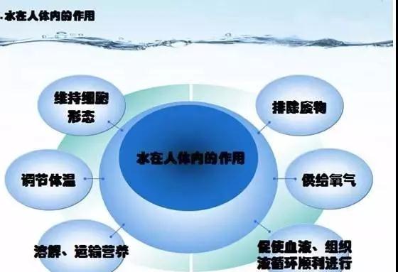 水—生命之源人体的70%是水组成的,水是维持人体正常生理活动的重要