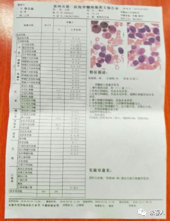 泉州医院抽血检查跟骨涂片检查,2018年10月18查出来是急性单核