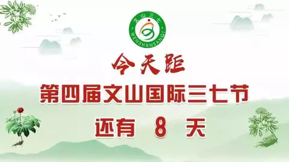 速度围观第四届文山国际三七节迎宾晚会大剧透