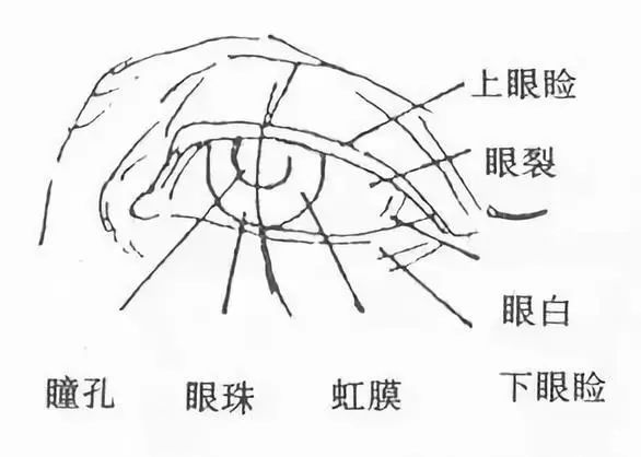 绘眼人口的意思_人口普查