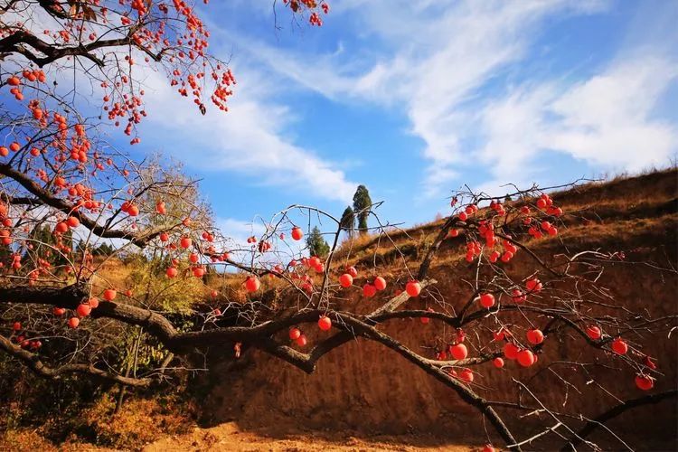 闻喜一个小山村不小心流出一套惊艳照片,美得令人心醉