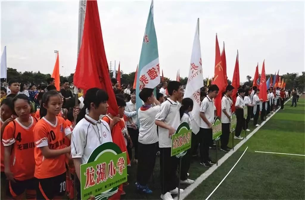 龙湖区龙湖杯第三届中小学生足球赛取得圆满成功