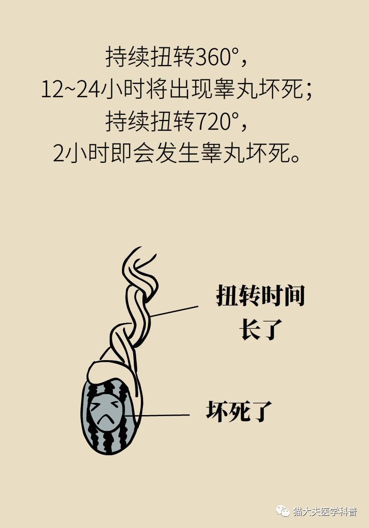 蛋疼无小事家有男孩儿一定要看这篇文章