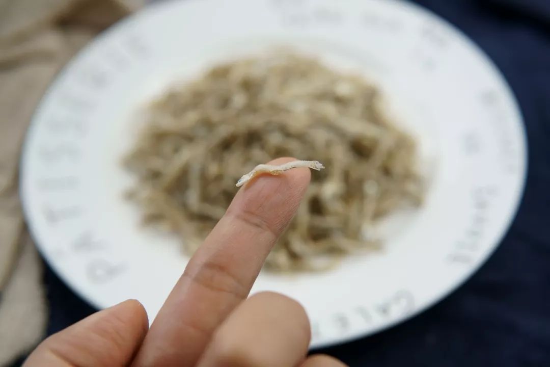 除了之前给大家推荐过的虾皮,我也更喜欢像小银鱼,丁香鱼这样的小鱼类