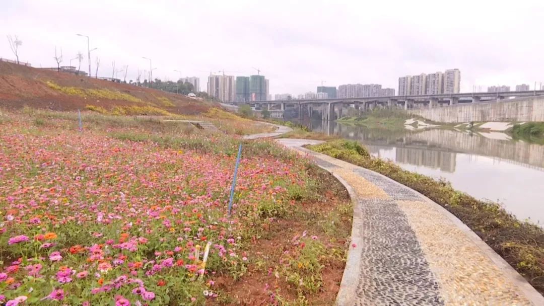 邵阳市区这条美丽的沿河风光带即将完工!