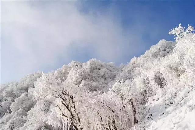 网友实拍赵公山风景花絮 ▲ 网友实拍赵公山风景花絮 当然!