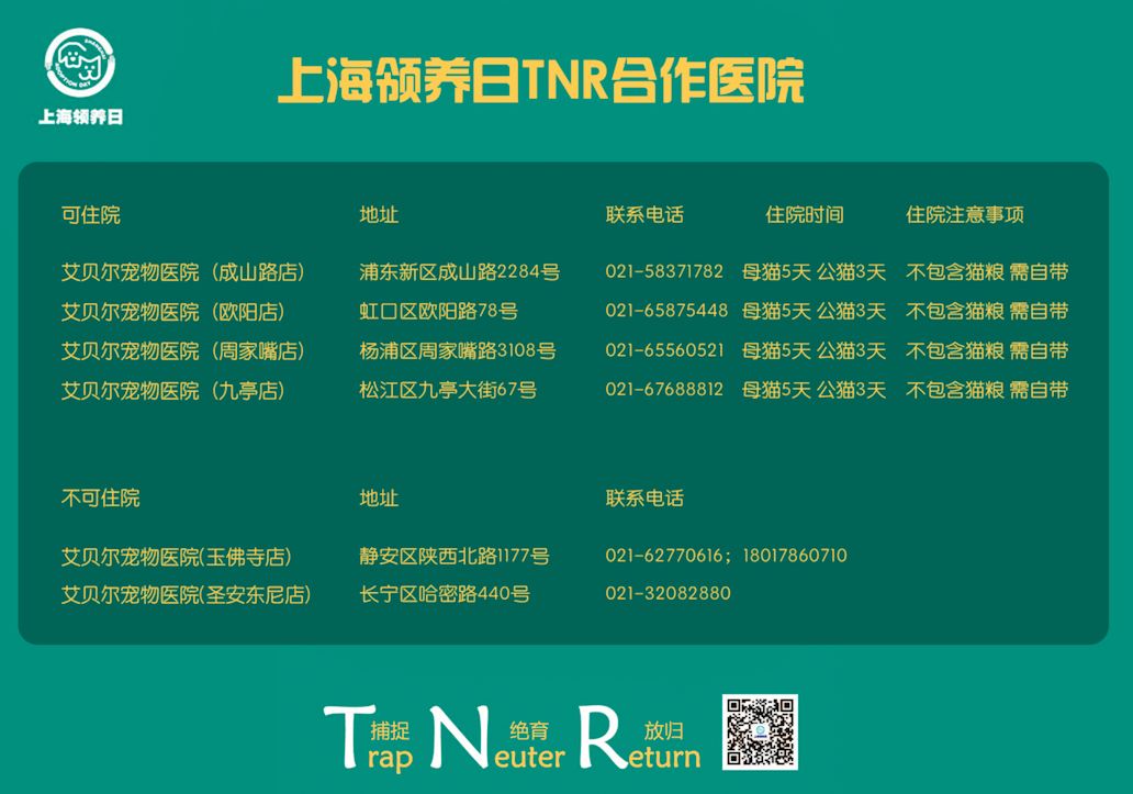 上海领养日十一月TNR免费券申请 拼手速!