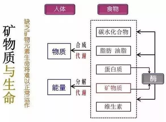 中科院徐恒泳教授治好母亲肺癌找到自愈癌症的神秘钥匙土壤是人类之本