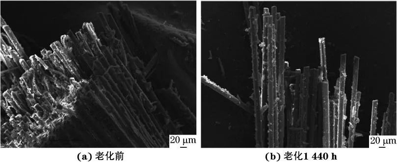 老化前和老化1440h后复合材料的拉伸断口sem形貌