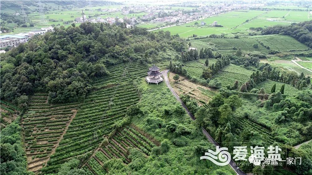 议财政奖补助推美丽乡村建设试点海盐早有先例,2017年,刘庄村,丰山村