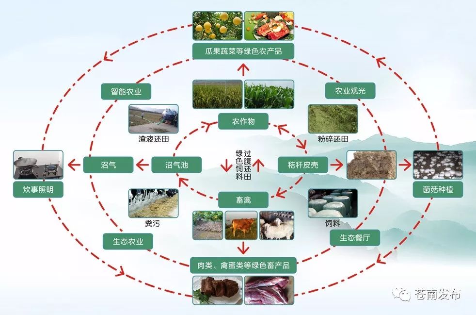 生态农业循环示意图