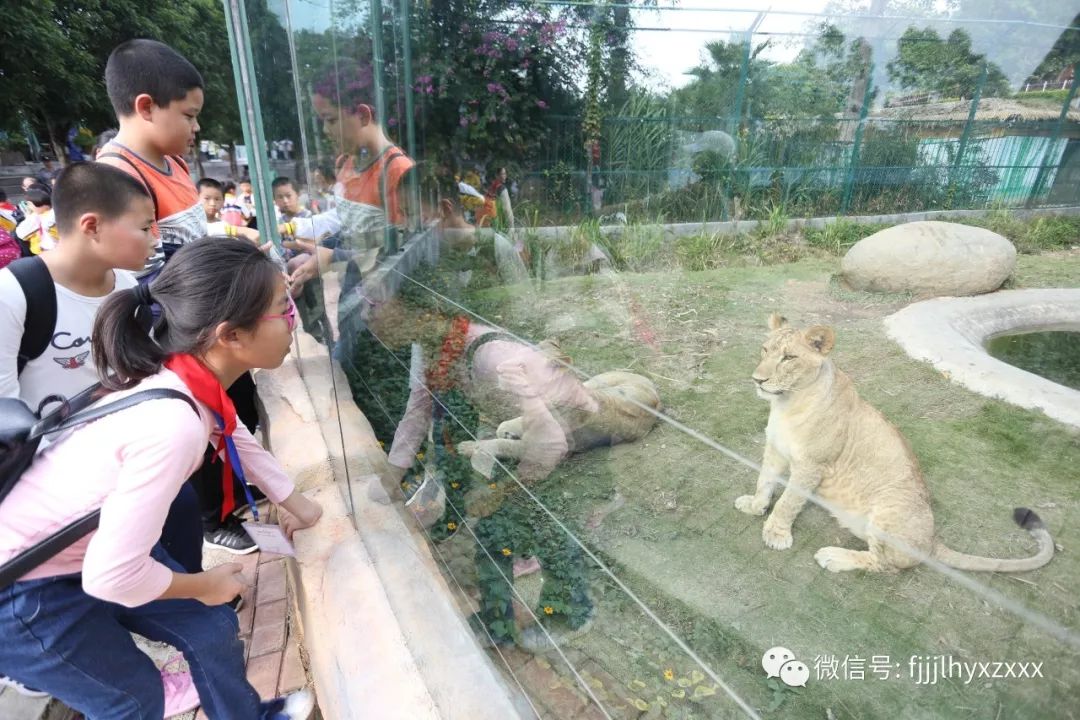 《晋江经济报》小记者站成员走进泉州海丝动物园