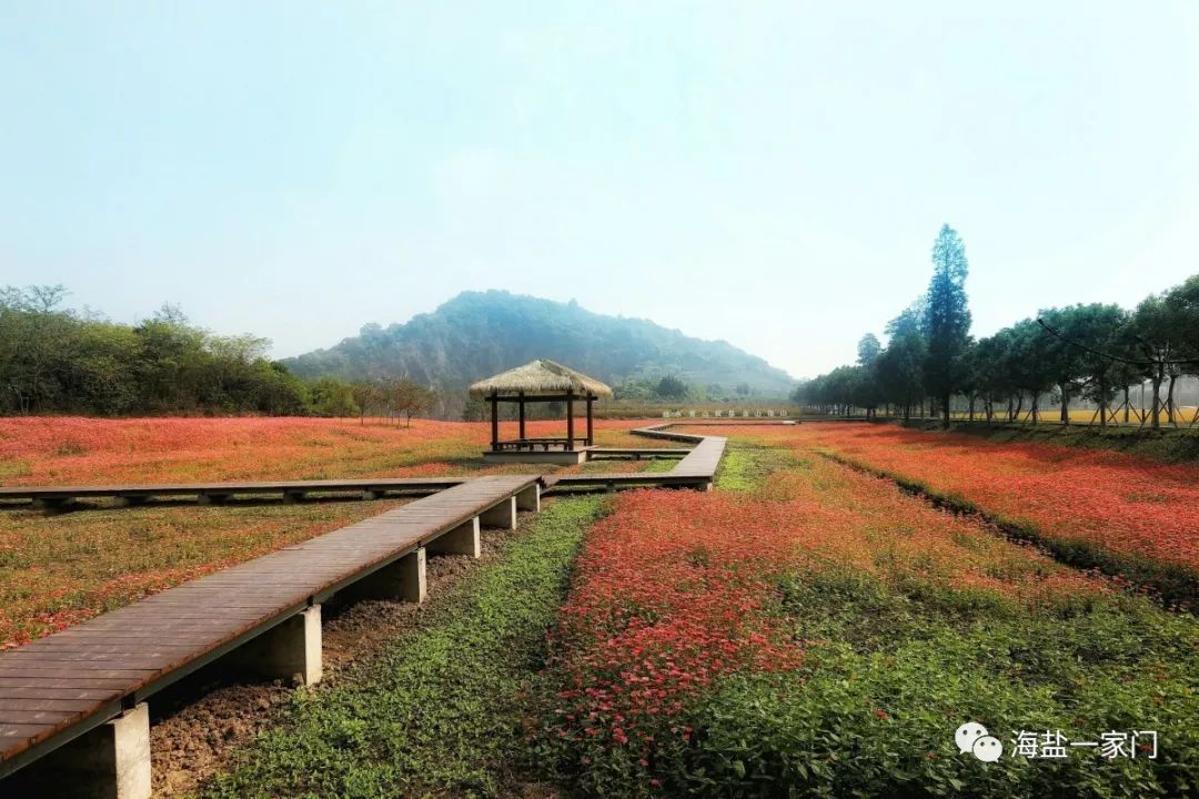 议财政奖补助推美丽乡村建设试点海盐早有先例,2017年,刘庄村,丰山村