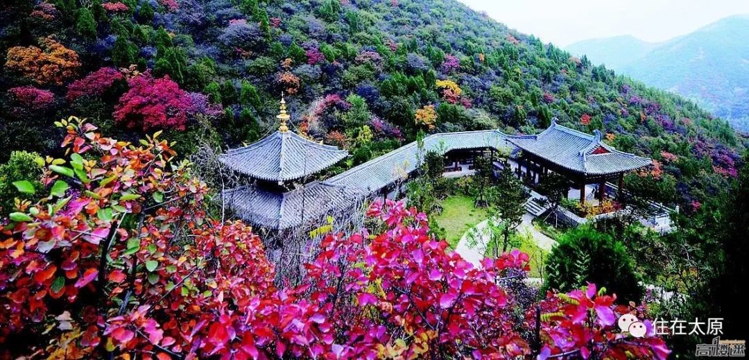 太山景区