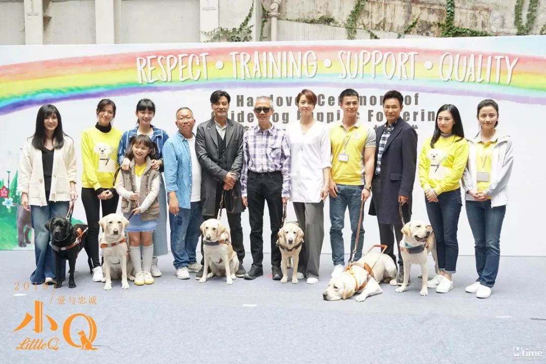 【影訊】《小Q》開放探班 香港超半數導盲犬現身片場
