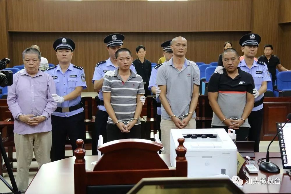 潮阳区人民法院对一起恶势力犯罪案件宣告一审判决