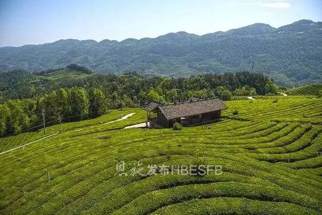 村山峰村由原谭河,山峰两村合并而成,得名境内山峰众多,山地资源丰富