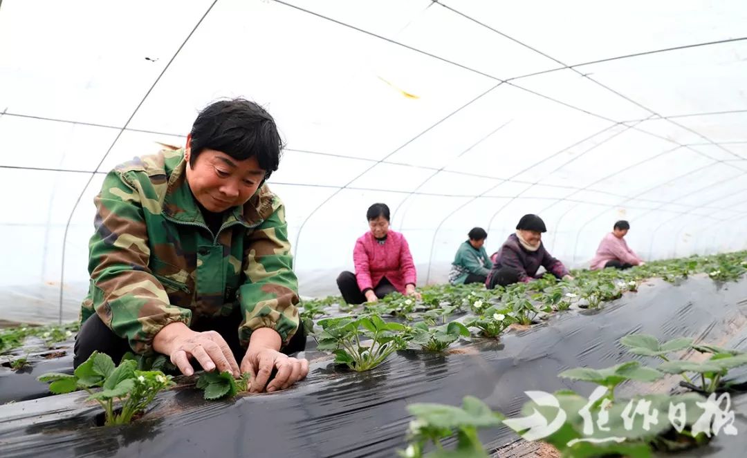 武陟县南张村有多少人口_运城大渠乡南张村