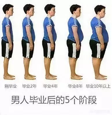 一正常吃饭就胖怎么办