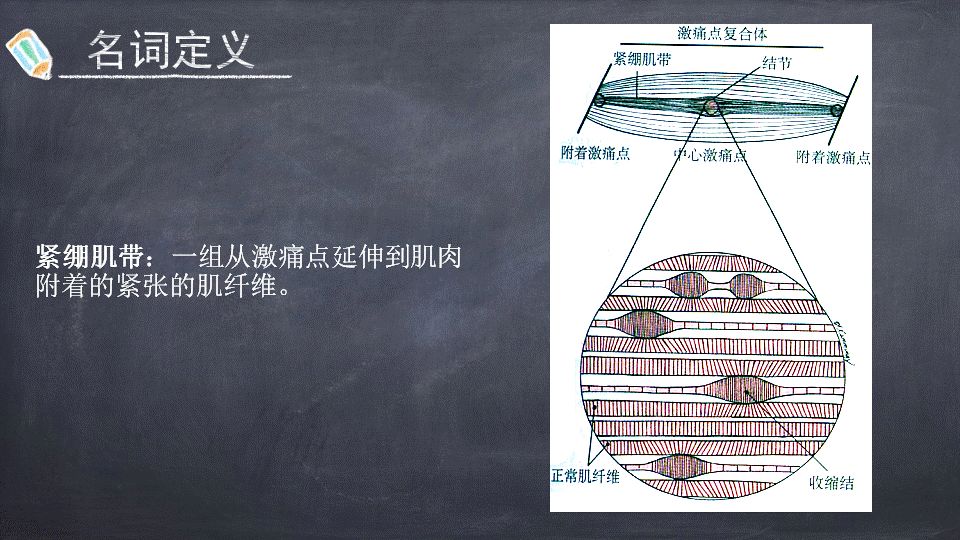 肌筋膜激痛点绪论