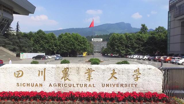 四川农业大学不过在116所211工程中,除了有清华大学,北京大学这样