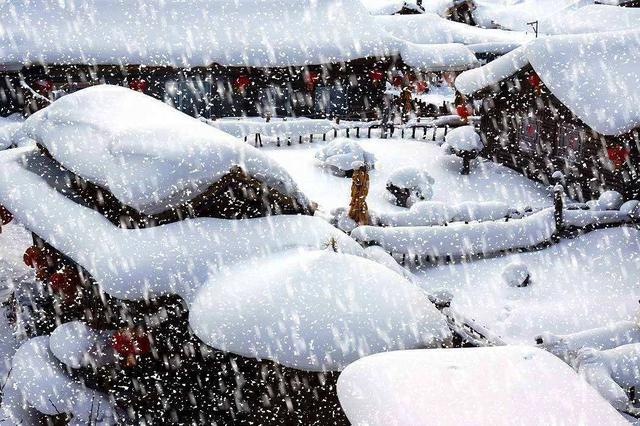 老人說「春吃花、冬吃根」，小雪節氣之後吃5種根菜，溫暖過一冬 健康 第1張