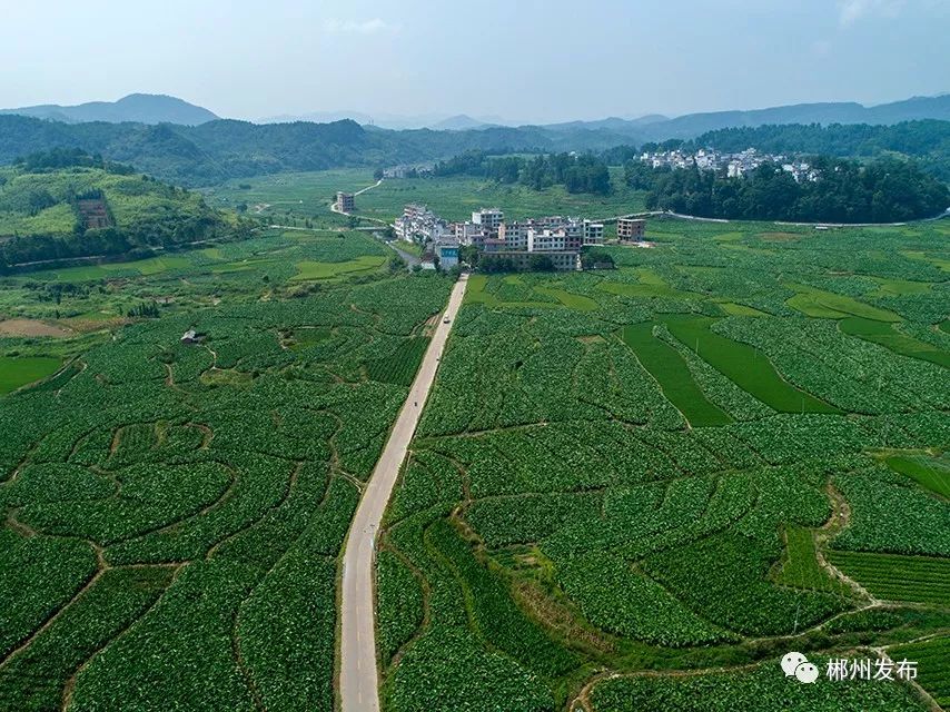 临武县人口_湖南郴州有个县,常住人口34.72万GDP超142亿,已有2200多年历史