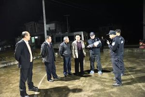 罗城打掉一个涉恶犯罪团伙,抓了17人,其中13人已被拘留