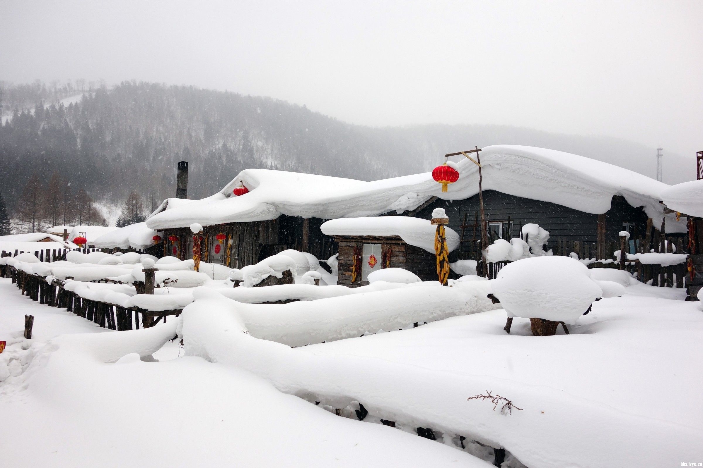 看了眼雪乡的价格公示表:住宿880起还能上浮30!雪乡宰客合法了