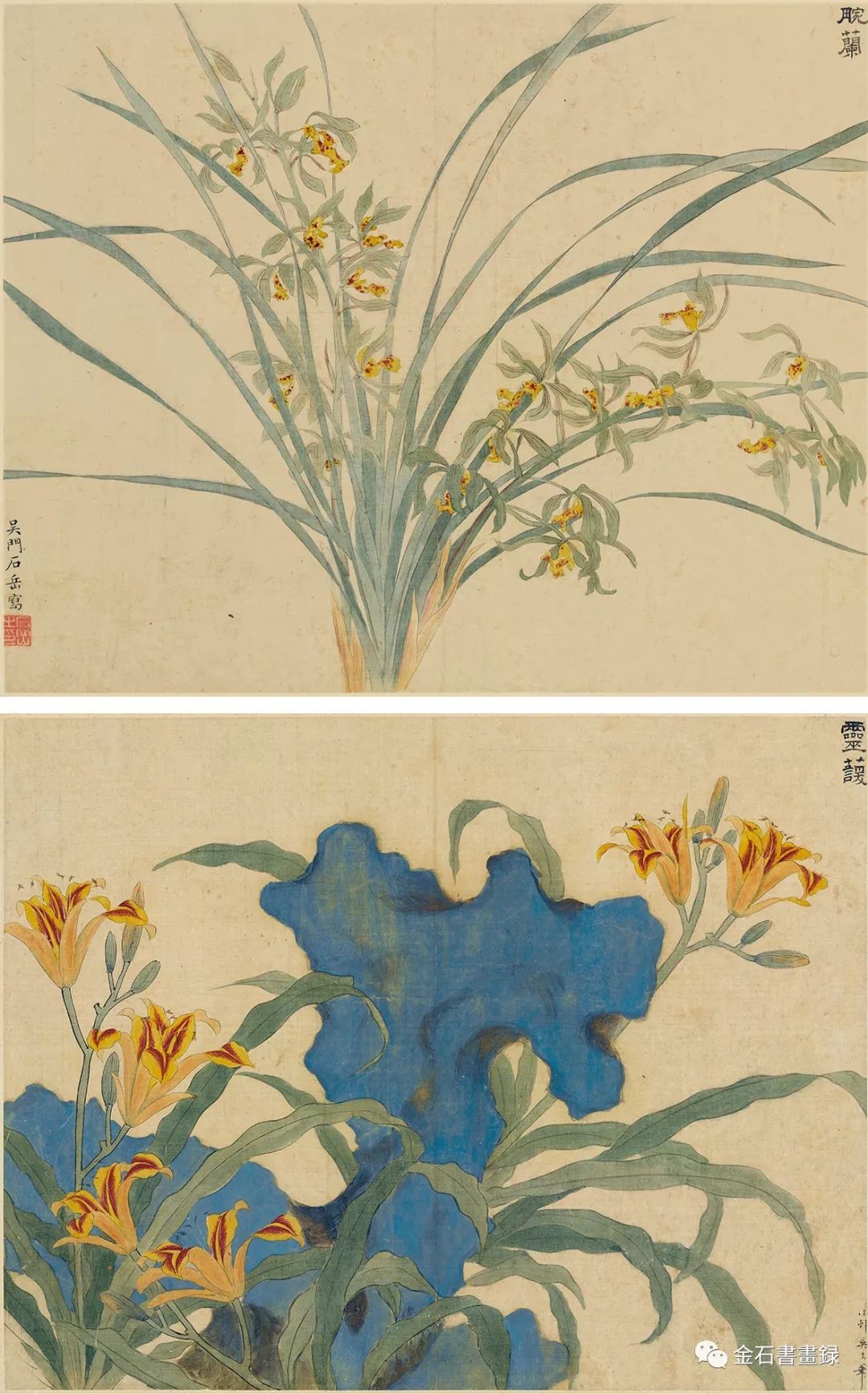 32厘米×40厘米,1545年明后期至清初,文人画坛回溯古典的时风在花鸟