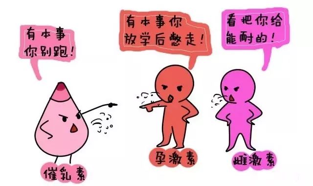 催乳素与雌激素,孕激素:相生相克