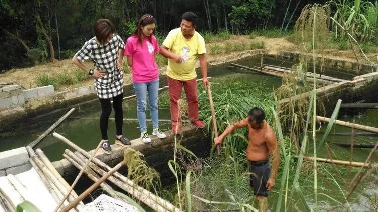 舅父新与两位助手莫澳欣,李春华一起论"鱼道.