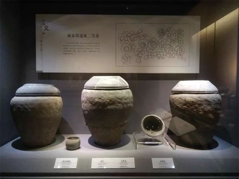 文史博览寻找戚家墩上海地区最早发现的古文化遗址