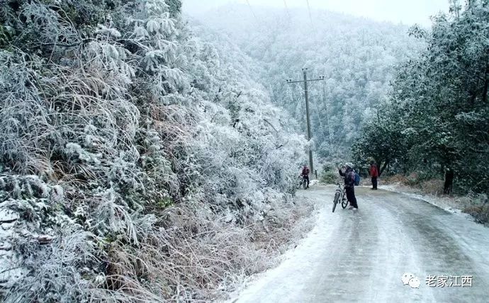 立冬已过,天气越来越冷,赣州又要下雪了,峰山赏雪_雪景