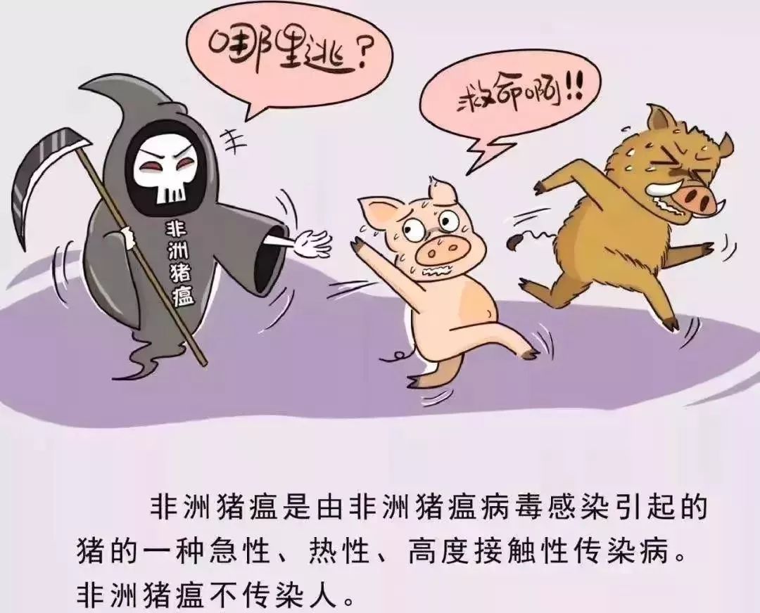 猪人口普查类小说(3)