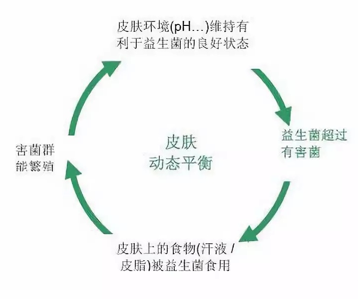 就此我们咨询了相关专家,专家指出95%的皮肤疾病都是皮肤菌群紊乱引发