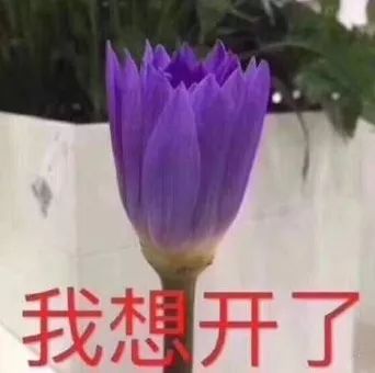 每日一题|森林会不会也自闭了?